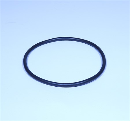 Amiad O-ring Filter casing 1"S R25